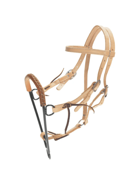 Noavel Headstall - ennasure taille petit (S)