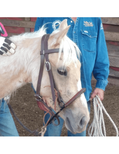 Noavel Headstall - ennasure taille petit (S)