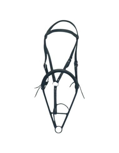 Noavel Headstall - ennasure taille trait (XL)