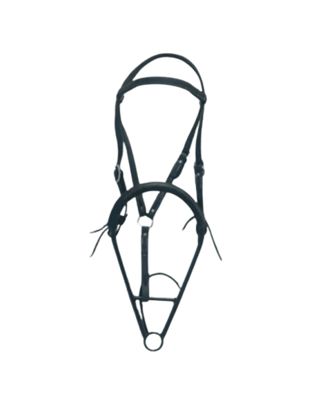 Noavel Headstall - ennasure taille trait (XL)