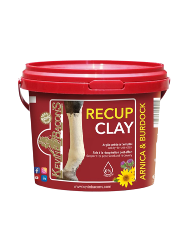 Kevin Bacon's - Argile Recup Clay 1,5kg