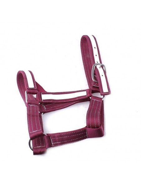 Licol Nylon fait main, bouclerie d'excellente qualité, extrêmement résistant et très épais.