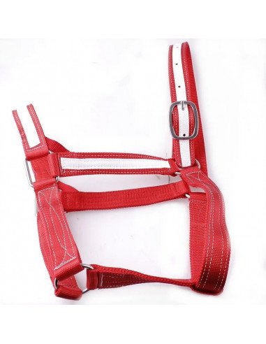 Licol Nylon fait main, bouclerie d'excellente qualité, extrêmement résistant et très épais.