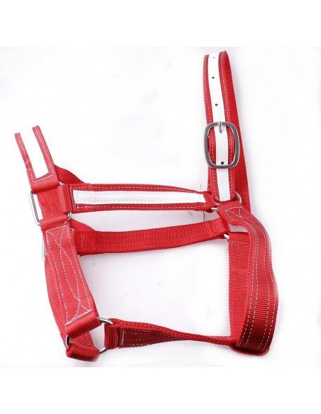 Licol Nylon fait main, bouclerie d'excellente qualité, extrêmement résistant et très épais.