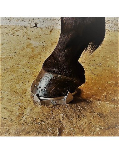 sur-fers défatiguants blood booster, pour une meilleurs récupération après l'effort pour le cheval.