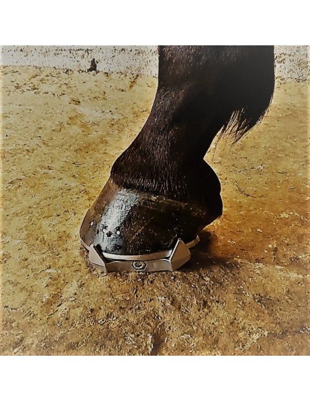 sur-fers défatiguants blood booster, pour une meilleurs récupération après l'effort pour le cheval.